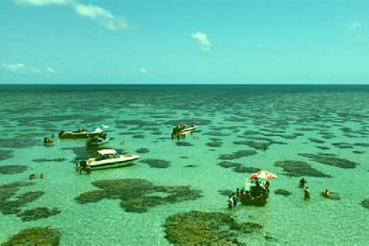 Escorts Rio do Fogo, Brazil — Local Companions
