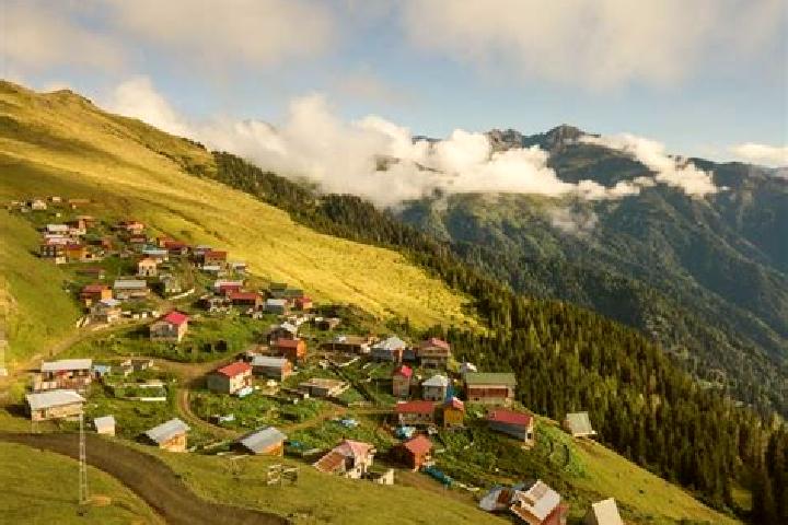 Escorts Rize, Turkey — Local Companions