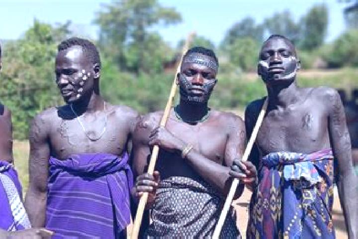 Escorts Robit, Ethiopia — Local Companions
