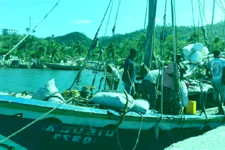 Escorts Roche-a-Bateau, Haiti — Local Companions