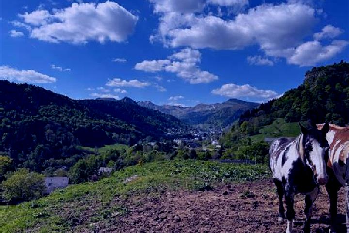 Escorts Rochefort-Montagne, France — Local Companions