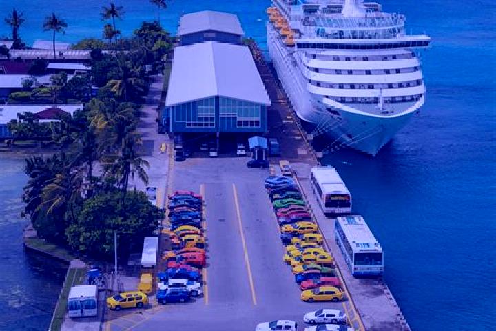 Escorts Rocky Point, Jamaica — Local Companions