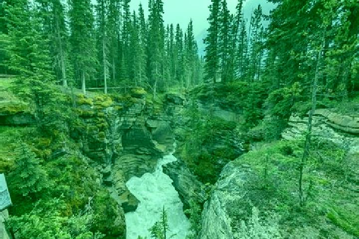 Escorts Rocky Ridge, Canada — Local Companions