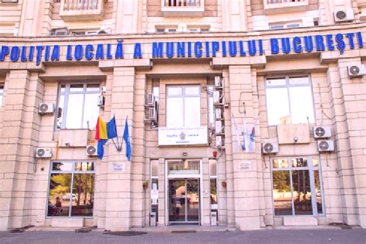 Escorts Rogova, Romania — Local Companions