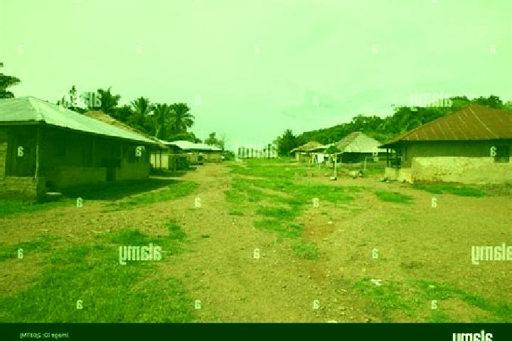 Escorts Rokupr, Sierra Leone — Local Companions