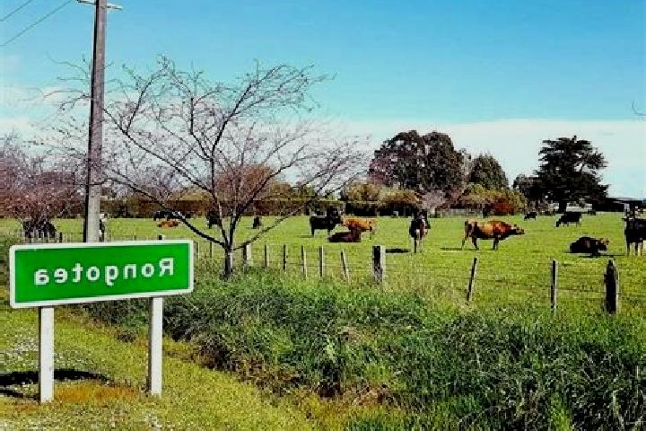 Escorts Rongotea, New Zealand — Local Companions