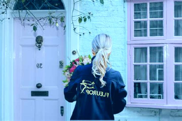 Escorts Roodeschool, Netherlands — Local Companions