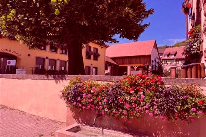 Escorts Rosenwiller, France — Local Companions