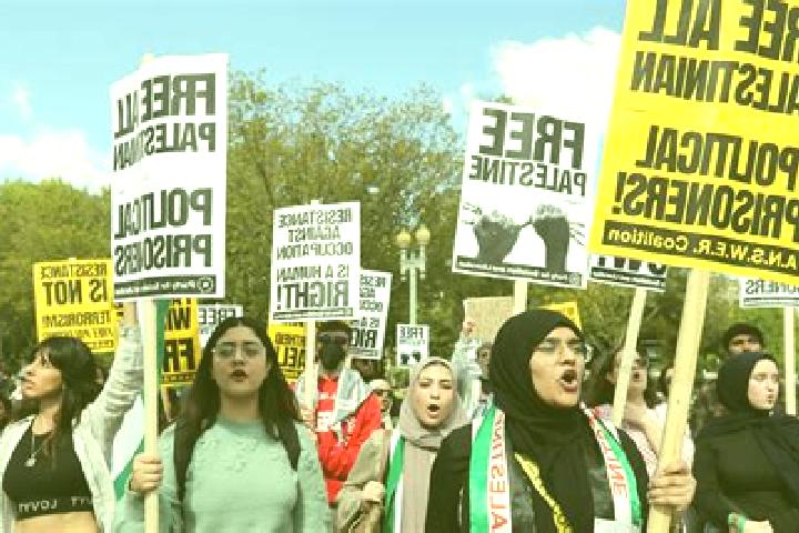 Escorts Rosh Zurim, Palestine — Local Companions