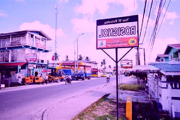Escorts Rosignol, Guyana — Local Companions