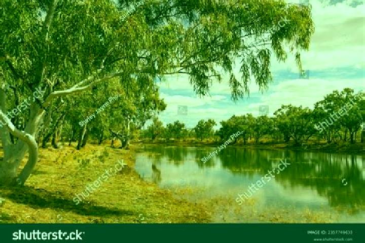 Escorts Ross Creek, Australia — Local Companions