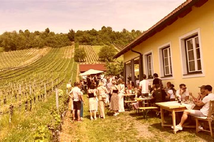 Escorts Rotenturm an der Pinka, Austria — Local Companions