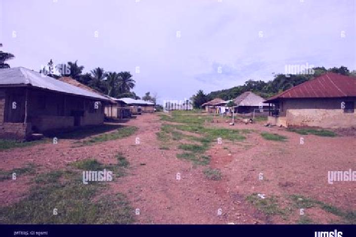 Escorts Rotifunk, Sierra Leone — Local Companions