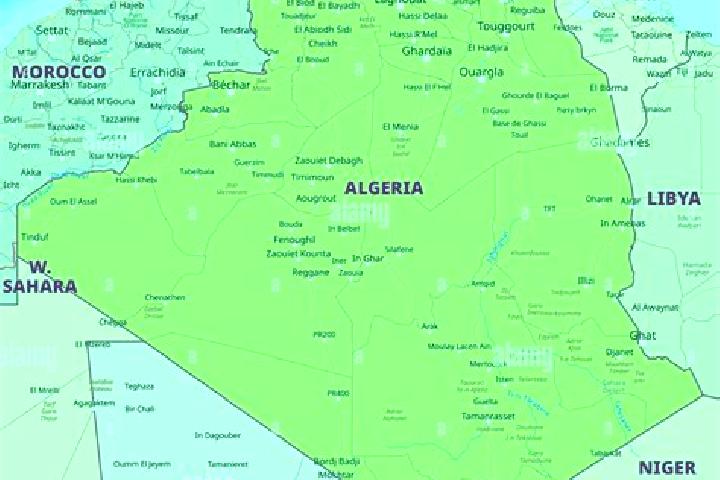Escorts Rouached, Algeria — Local Companions