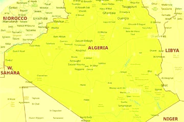 Escorts Rouissat, Algeria — Local Companions