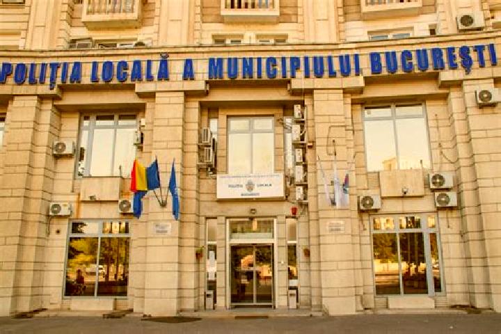 Escorts Rovine, Romania — Local Companions