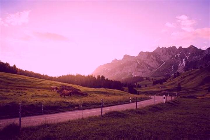 Escorts Ruemlang / Saentisstrasse-Aegler, Switzerland — Local Companions