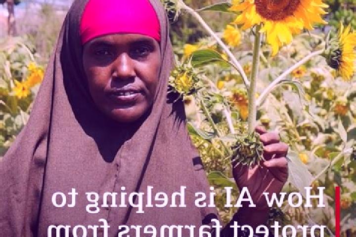 Escorts Ruqi, Somalia — Local Companions