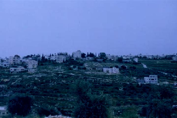 Escorts Saffa, Palestine — Local Companions