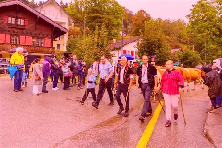 Escorts Saint-Cergue, Switzerland — Local Companions