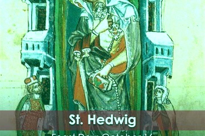 Escorts Saint Hedwig, United States — Local Companions