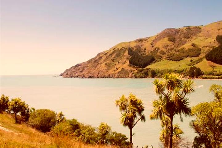Escorts Saint Marys Bay, New Zealand — Local Companions