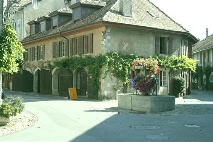 Escorts Saint-Prex, Switzerland — Local Companions