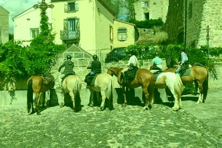Escorts Saint-Sandoux, France — Local Companions