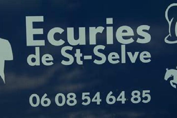 Escorts Saint-Selve, France — Local Companions