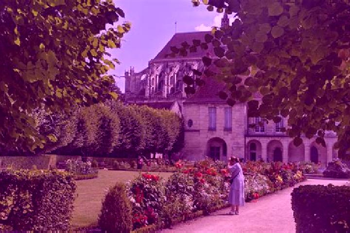 Escorts Saint-Soupplets, France — Local Companions