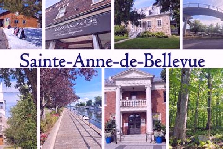 Escorts Sainte-Anne-de-Bellevue, Canada — Local Companions