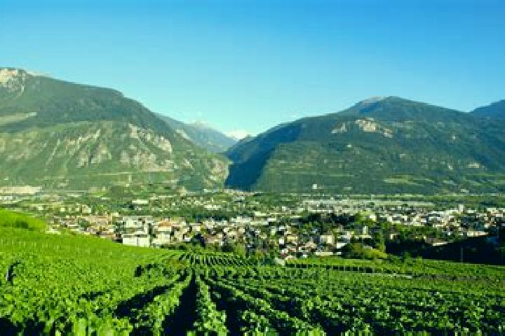 Escorts Salgesch, Switzerland — Local Companions