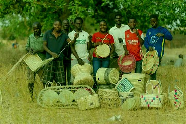 Escorts Salima, Malawi — Local Companions
