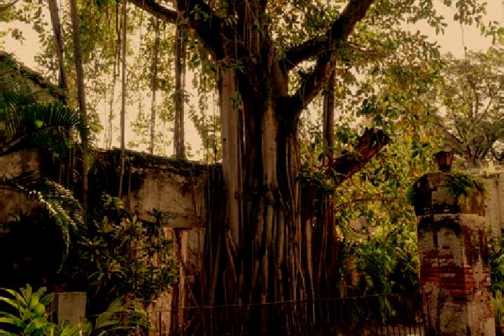 Escorts Salto de Tepuxtepec, Mexico — Local Companions