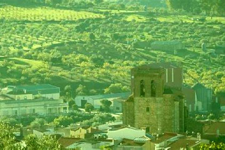 Escorts Salvatierra de los Barros, Spain — Local Companions
