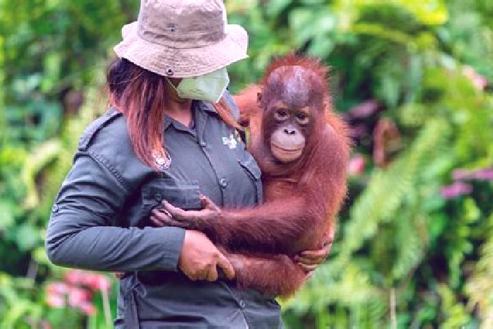 Escorts Samboja, Indonesia — Local Companions
