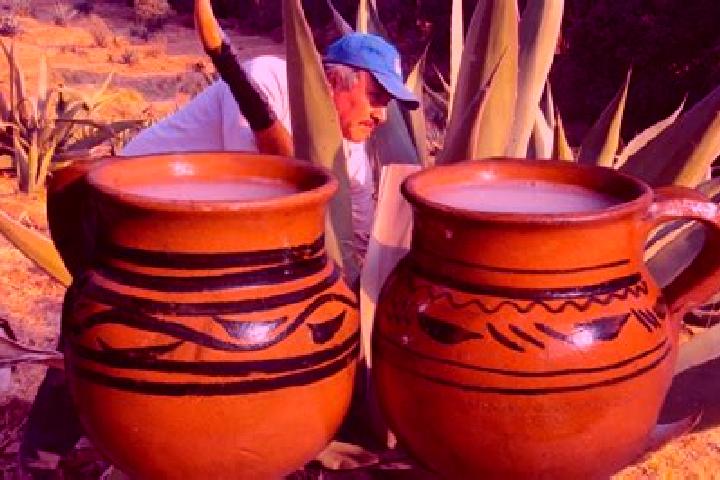 Escorts San Agustin del Pulque, Mexico — Local Companions