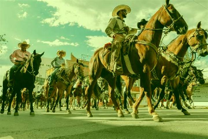 Escorts San Antonio Albarranes, Mexico — Local Companions