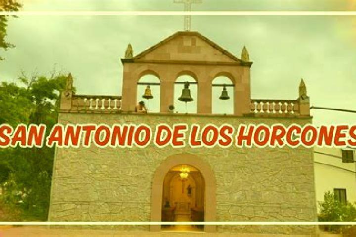 Escorts San Antonio de los Horcones, Mexico — Local Companions