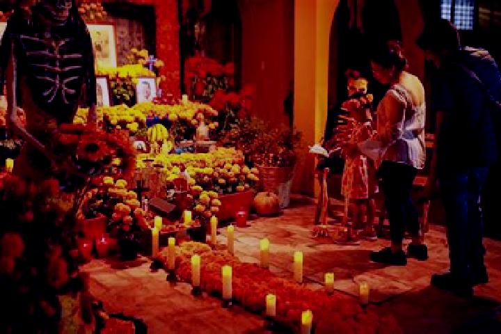 Escorts San Felipe Otlaltepec, Mexico — Local Companions