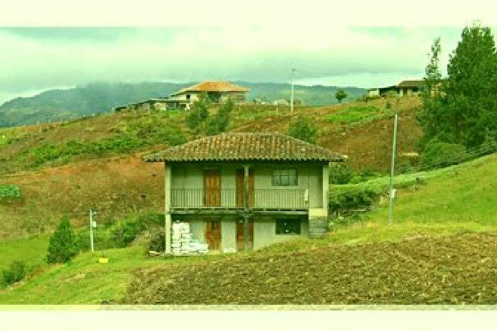 Escorts San Francisco de Natabuela, Ecuador — Local Companions