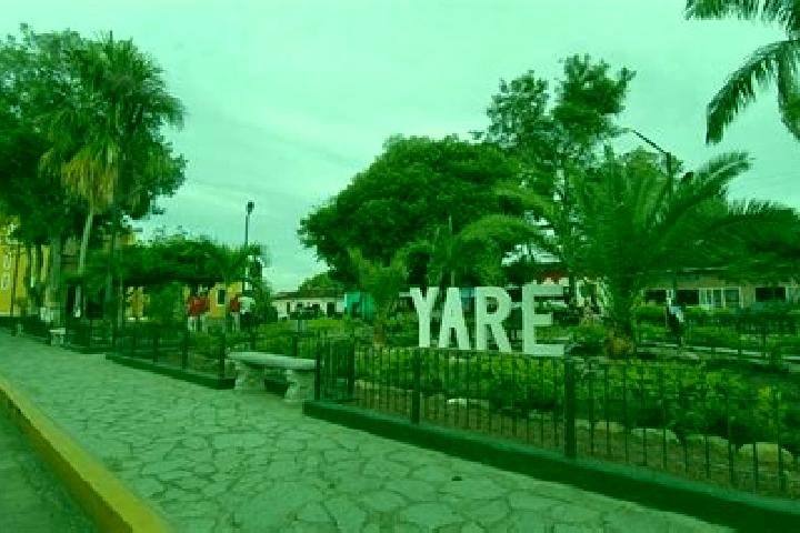 Escorts San Francisco de Yare, Venezuela — Local Companions