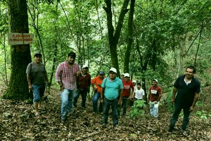 Escorts San Gabriel Mixtepec, Mexico — Local Companions