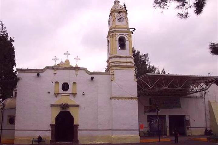 Escorts San Gregorio, Mexico — Local Companions