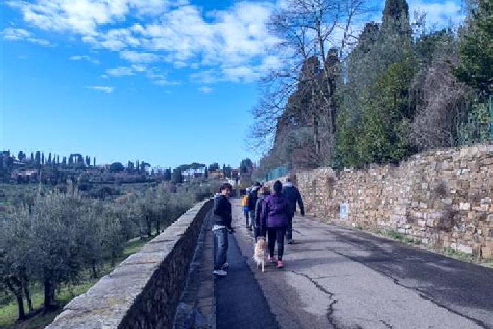 Escorts San Jacopo al Girone, Italy — Local Companions