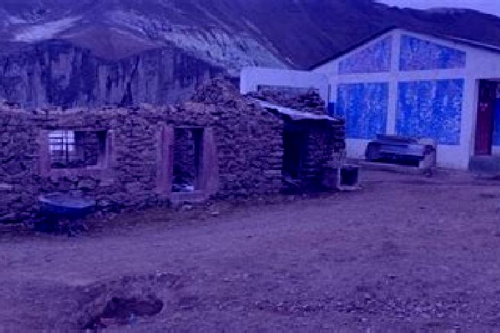 Escorts San Jose de Huarcaya, Peru — Local Companions