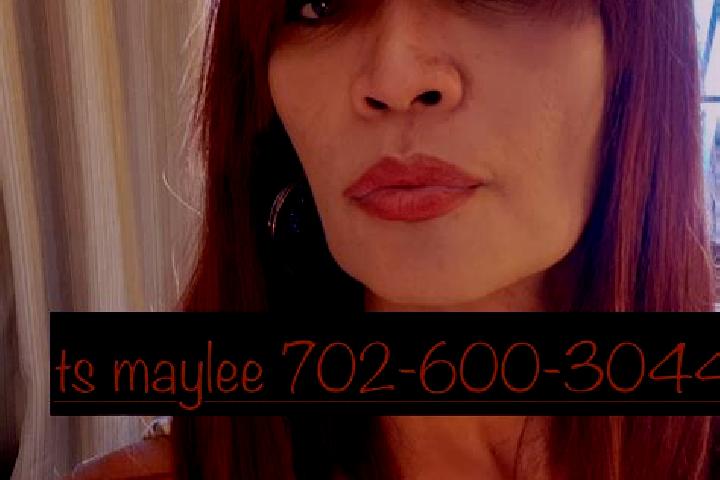 Escorts San Jose el Nuevo, Mexico — Local Companions