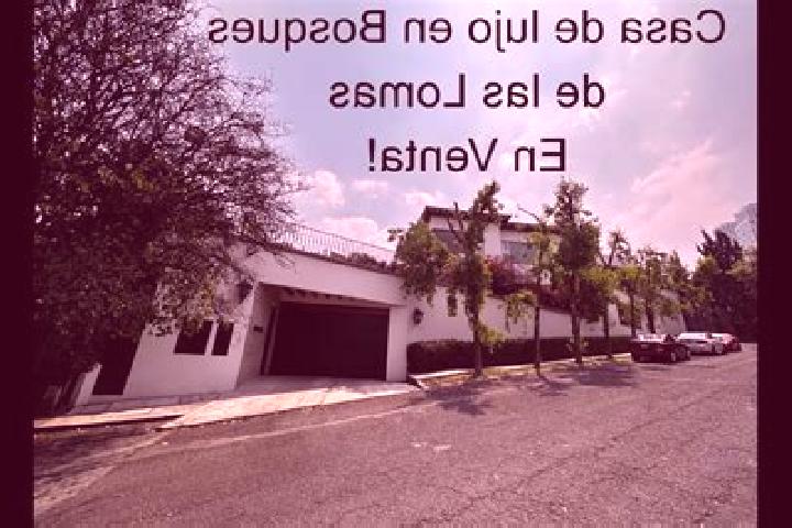 Escorts San Jose las Lomas, Mexico — Local Companions