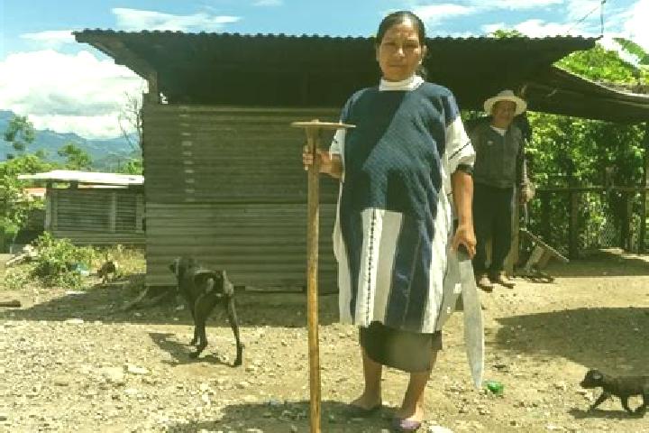 Escorts San Juan Cancuc, Mexico — Local Companions