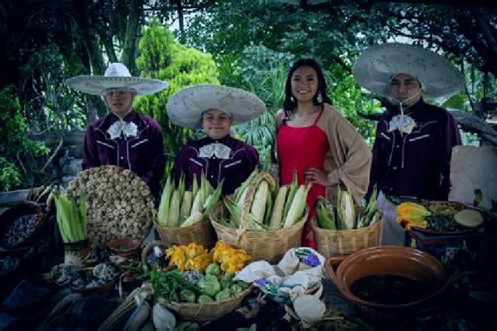 Escorts San Juan Ixtayopan, Mexico — Local Companions